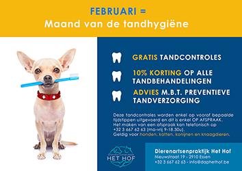 FEBRUARI = maand van de TANDHYGIËNE